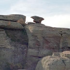 Peracense-Rodenas-0006