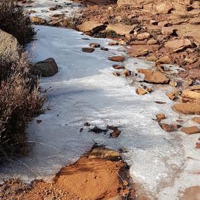 Peracense-Rodenas-0012