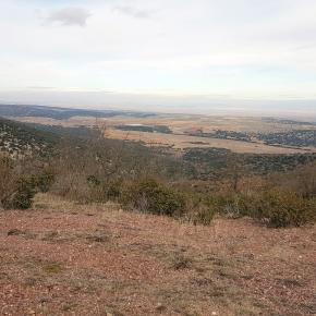 Peracense-Rodenas-0014