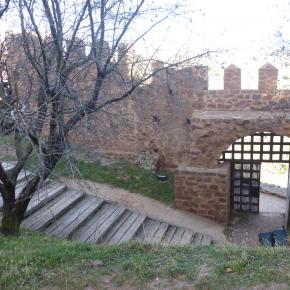 Peracense-Rodenas-11-