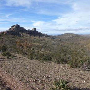 Peracense-Rodenas-18-