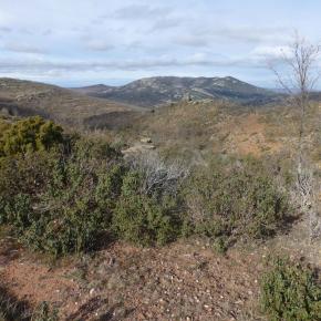 Peracense-Rodenas-19-