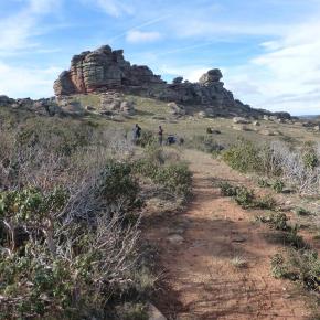 Peracense-Rodenas-20-