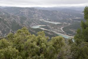 20220226-Morr-n-de-Tolocha--Calanda