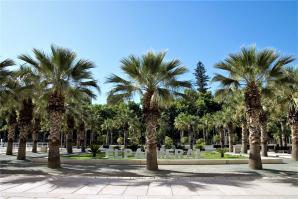 1016 El Palmeral