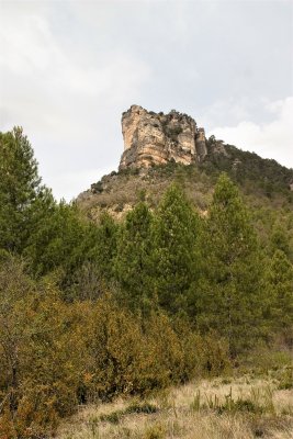 05