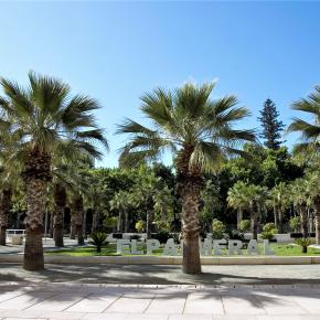 1016 El Palmeral