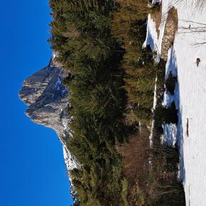 Raquetas Sallent-0027