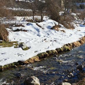 Raquetas Sallent-0032