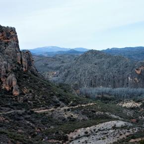 11 El Moncayo al fondo