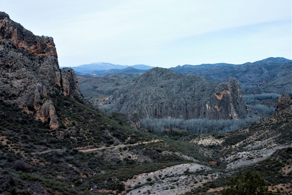 11 El Moncayo al fondo