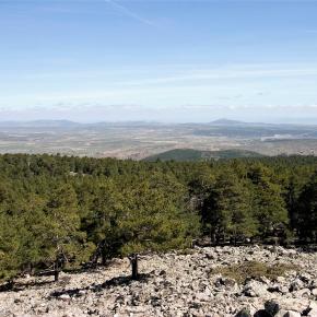 08 Desde la Sierra Alta