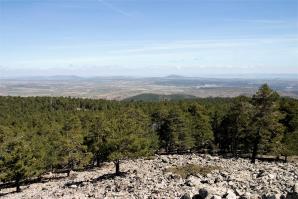 08 Desde la Sierra Alta