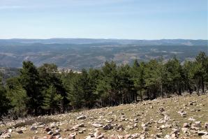 09 Desde la Sierra Alta
