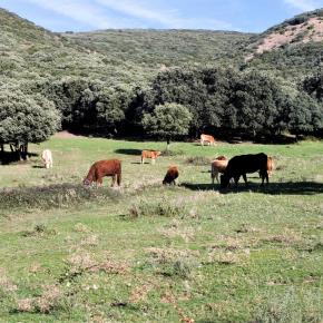 01 Por el Barranco de Val