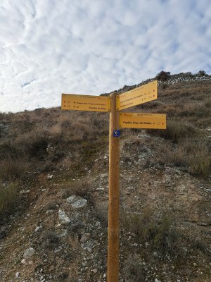 Centro Geo. Aragon (11)