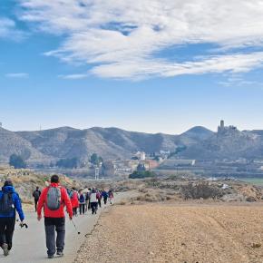 Centro Geo. Aragon (5)