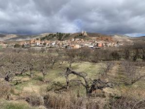 IMG_5897