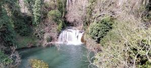 IMG20240317110812