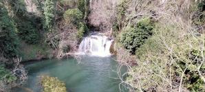IMG20240317110813