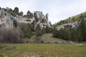 Río Lobos 51