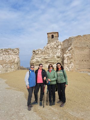 Centro Geo. Aragon (18)