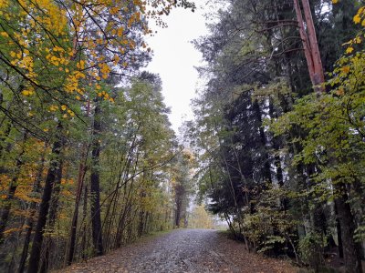 IMG-20241027-WA0006