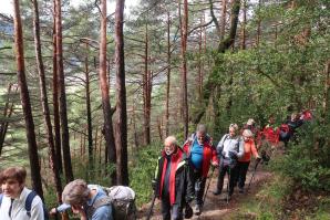 IMG-20250327-WA0025