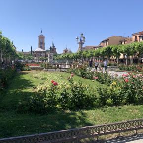 IMG_2418