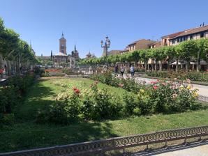 IMG_2418