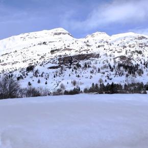 IMG_20260208_110535_1