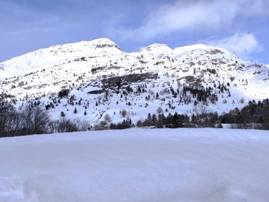 IMG_20260208_110535_1