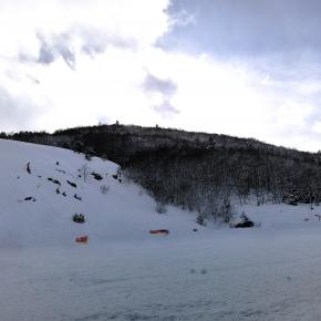 IMG_20260208_110711_1