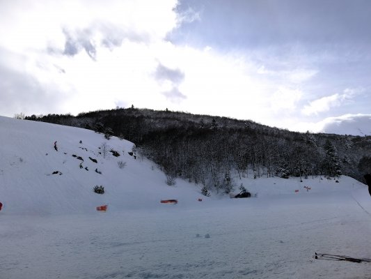 IMG_20260208_110711_1