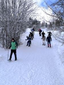 IMG_20260208_110734
