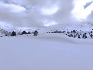 IMG_20260208_110753