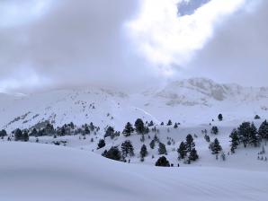 IMG_20260208_110812