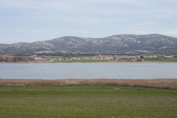 05 Gallocanta (Pueblo)