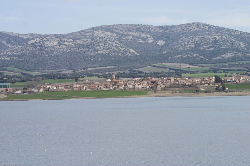06 Gallocanta (Pueblo)