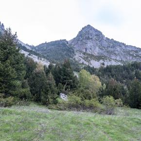 24 Peña Forato