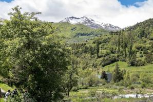 42 Pico Culivillas