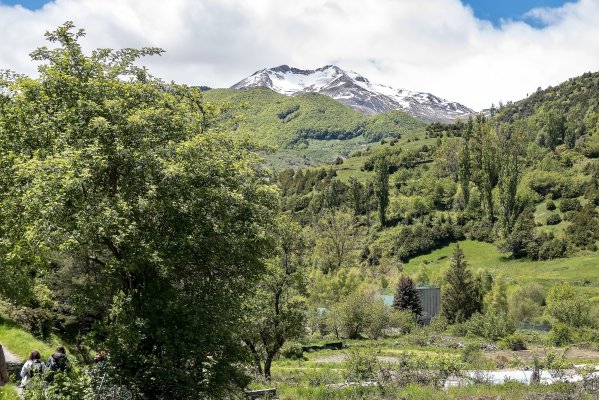 42 Pico Culivillas