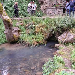 XIX Jornadas 023