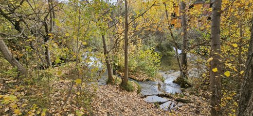 30 Cascada del Molino de San Pedro (Fotografía tomada por Pilar Molina)
