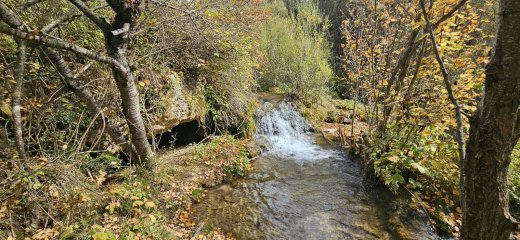 31 Cascada del Molino de San Pedro (Fotografía tomada por Pilar Molina)